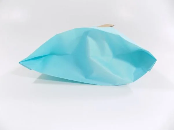 Simplicity TYPE H (S5-6) paper bags 6pk - Image 4
