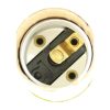 Keyless Leviton Brass Plated Medium Socket