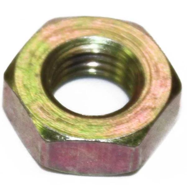 Nut, Motor Shaft Super 8 Uprights Part Number: 77004 for Elektrapure